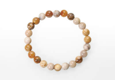 Petrified Coral A/B Bead