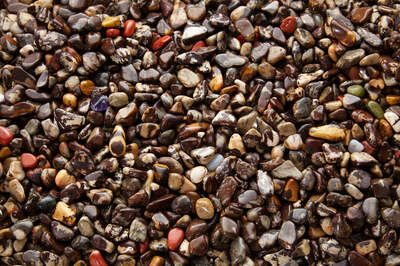 Jasper Zebra South Africa