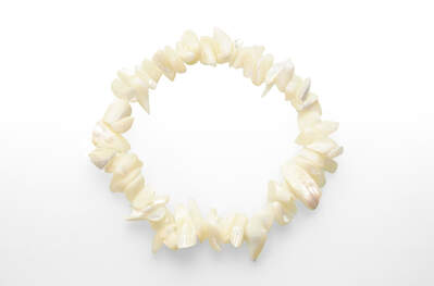 Mother of Pearl Chips