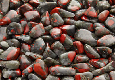 Heliotrope South Africa