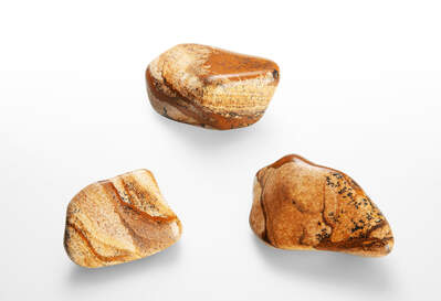 Jasper Picture Jumbo