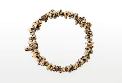 Jasper Dalmatian Chips